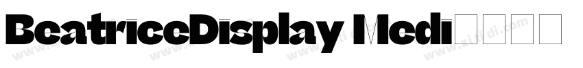 BeatriceDisplay Medi字体转换